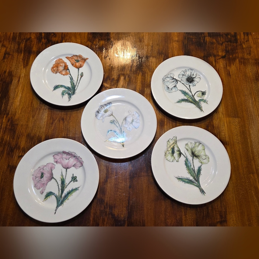 5 Vtg Porcelain Taste Setter Collection Dessert Salad Plates 7.75" Floral Poppy